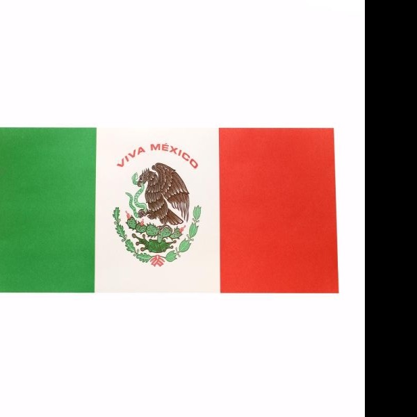 BANDERA DE PAPEL BOND GRANDE RAF 47X17 CM. 3 E.100